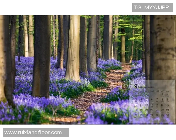 实况足球8中比利时球星的精彩表现与技术分析